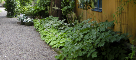 Löddeköpinge